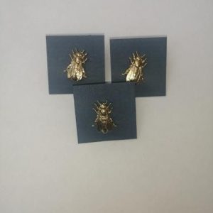 Priponka Čebelica PRIPONKA CEBELICA ZLATA